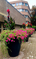 /album/jaro/20250910-104713-jpg/