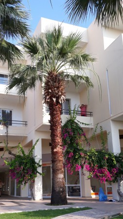 Areál hotelu
